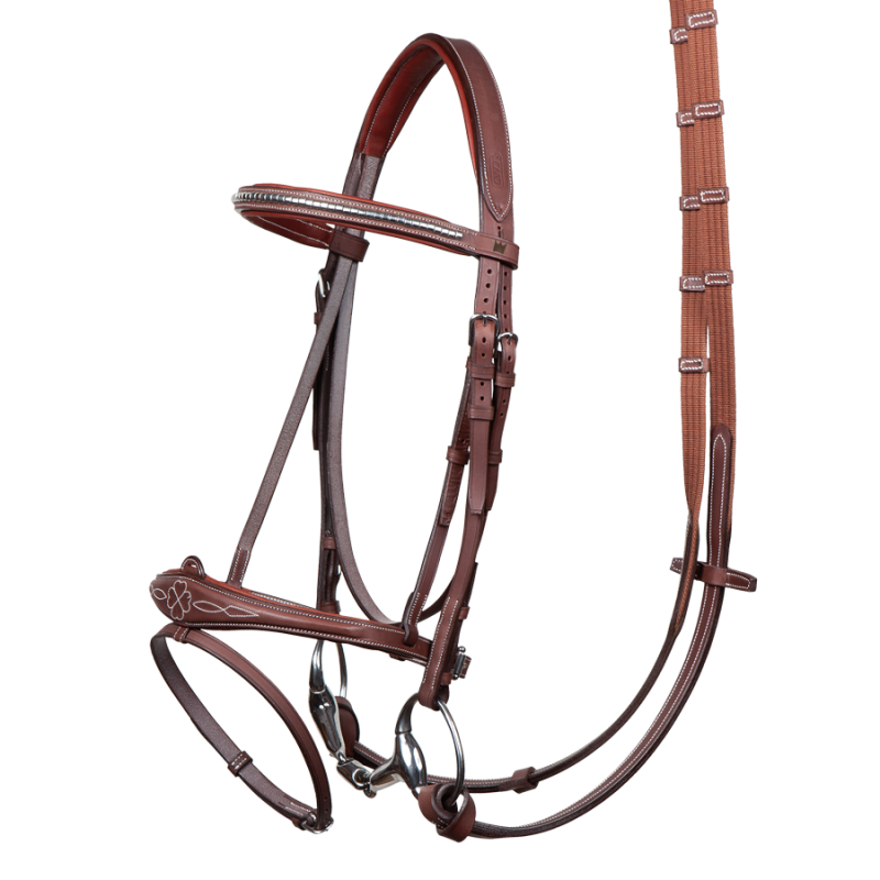 Harrie Smolders bridle + reins. The original bridle.