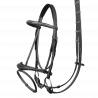 Harrie Smolders bridle + reins. The original bridle.