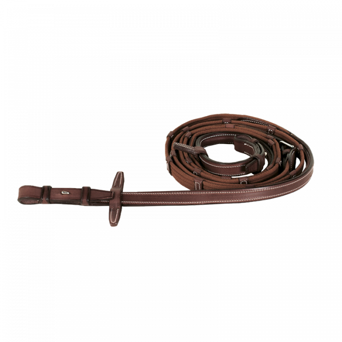 Raised web reins with fancy stitching