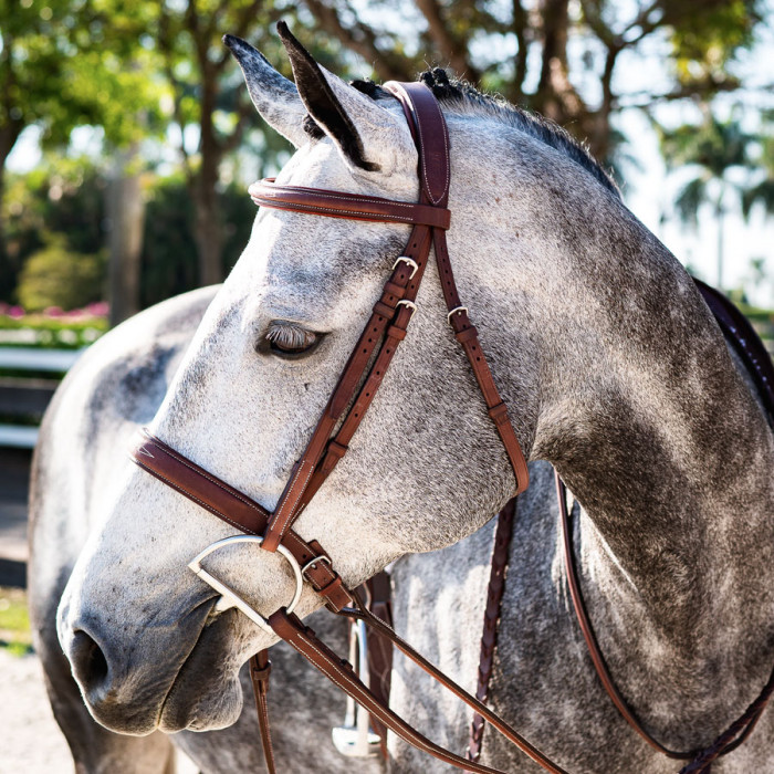 Saddle Cloth – Bonnie Bridles