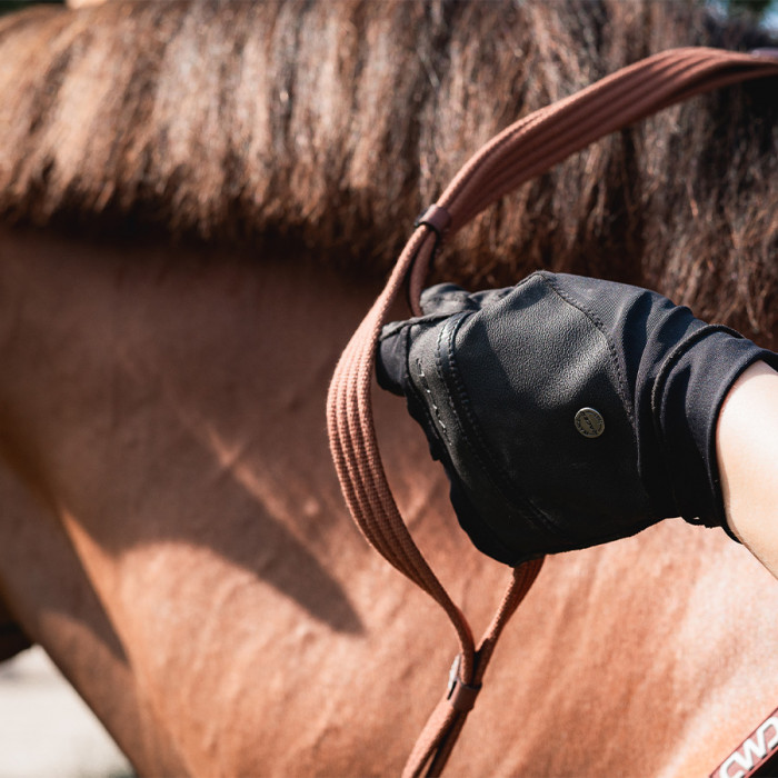 Rênes poignées toile contact