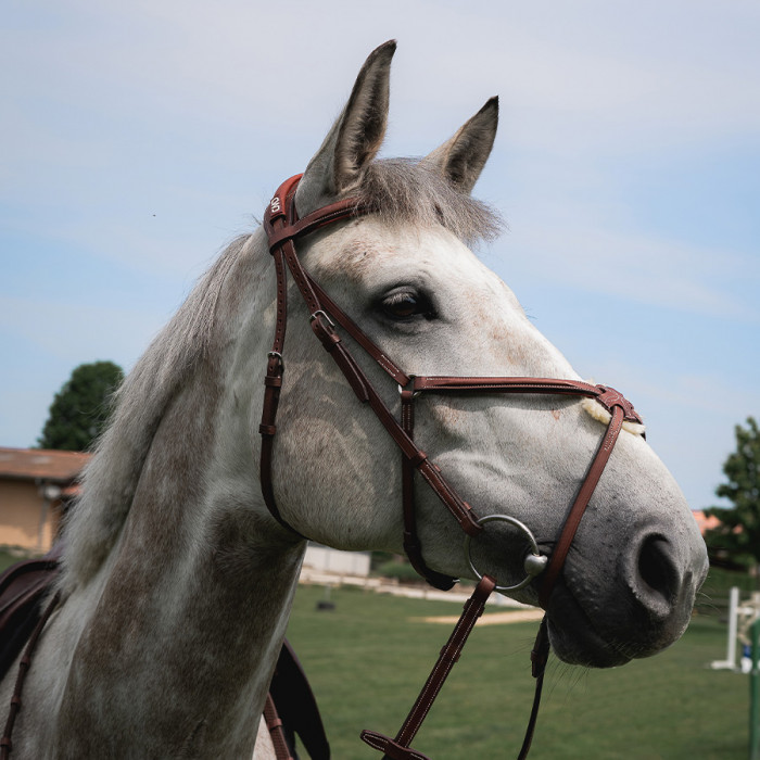 Figure 8 Your Bridle - Pro Equine Grooms