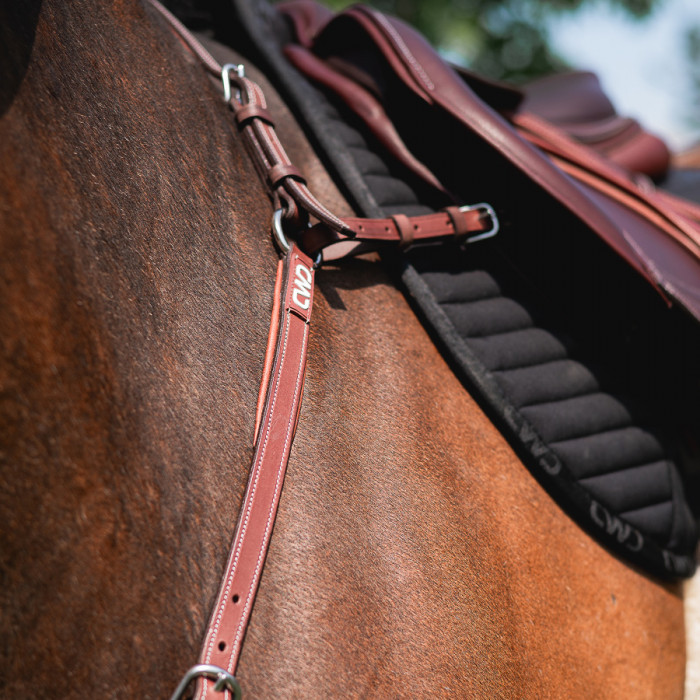 Collier de chasse à pont réglable