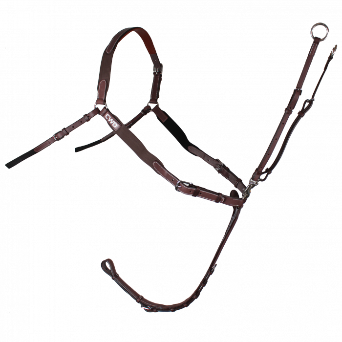 Bridge breastplate with wide elastics