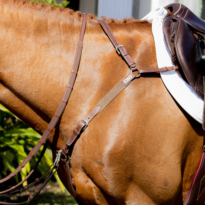 Collier de chasse eventing