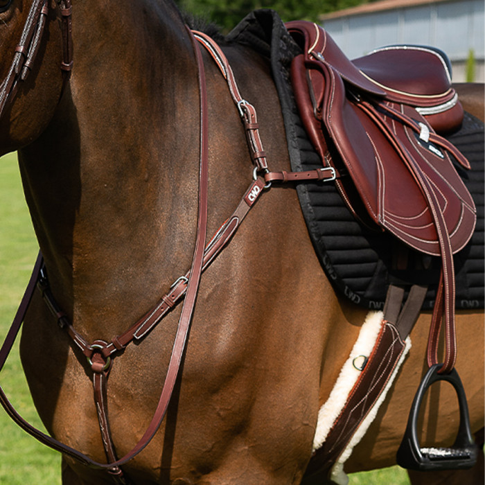 Sport Color raised adjustable bridge breastplate