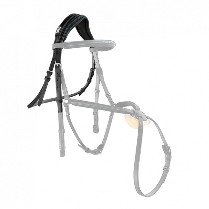 Sport Color anatomic headpiece (BR09)