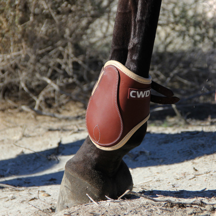 Sport Color buckle open fetlock boots