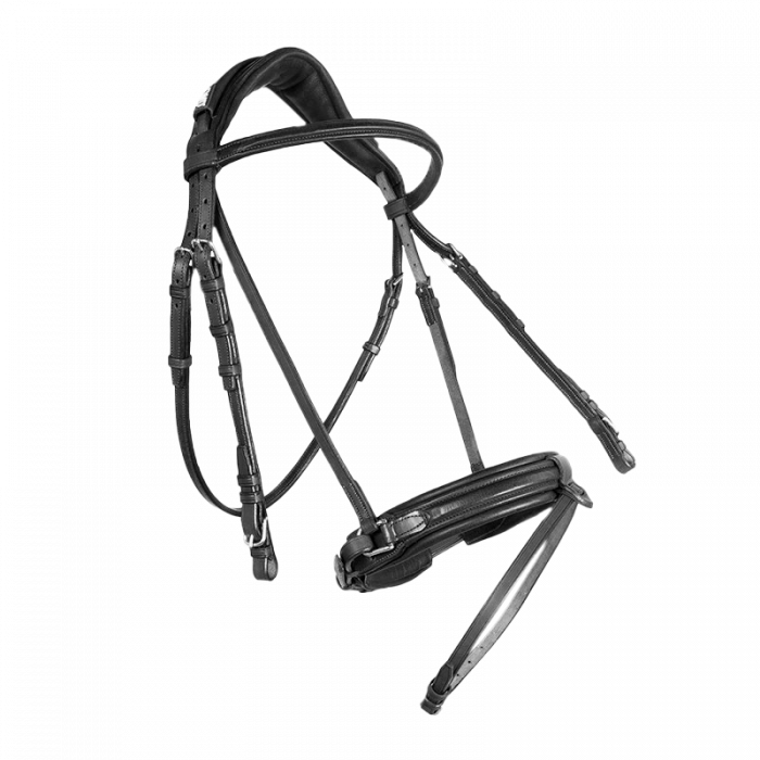 Bridon contact muserolle dressage