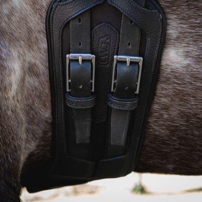 Sangle dressage courte