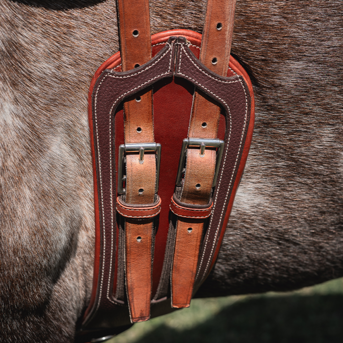 Sangle contact courte