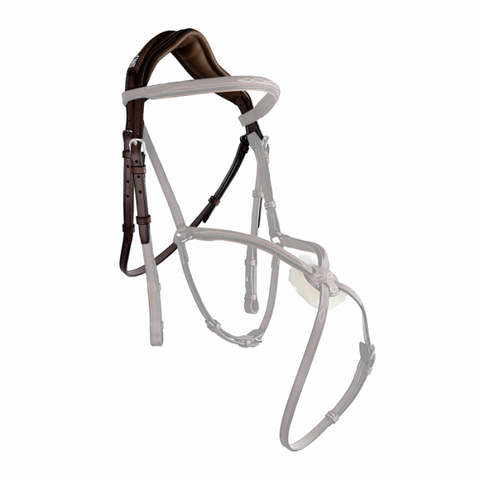 Têtière anatomique (BR09)