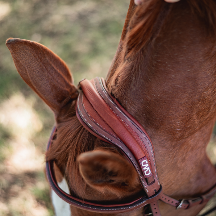 Anatomic headpiece (BR09)