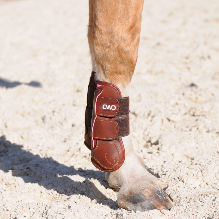 Protège tendons velcro veau Sport Color