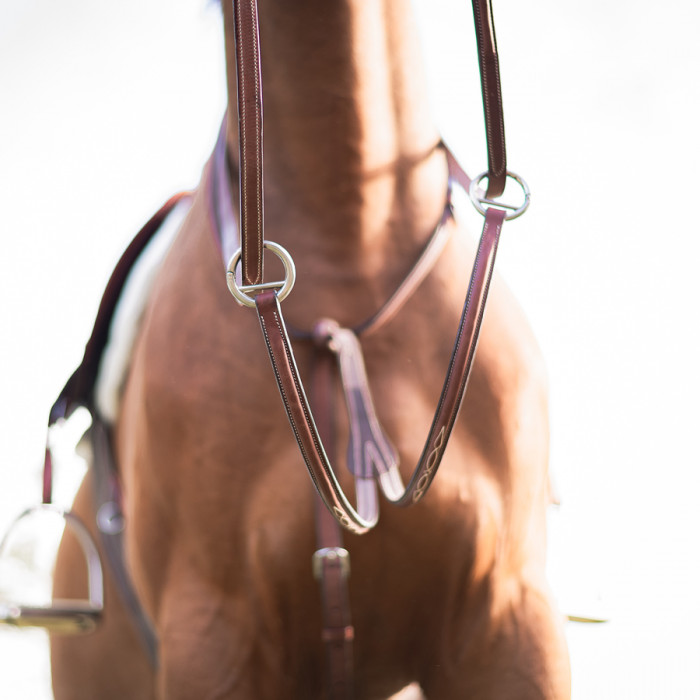 Raised running martingale with fancy stitching