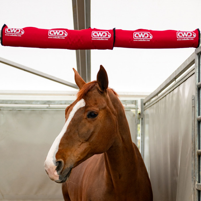 Stable Head Protector