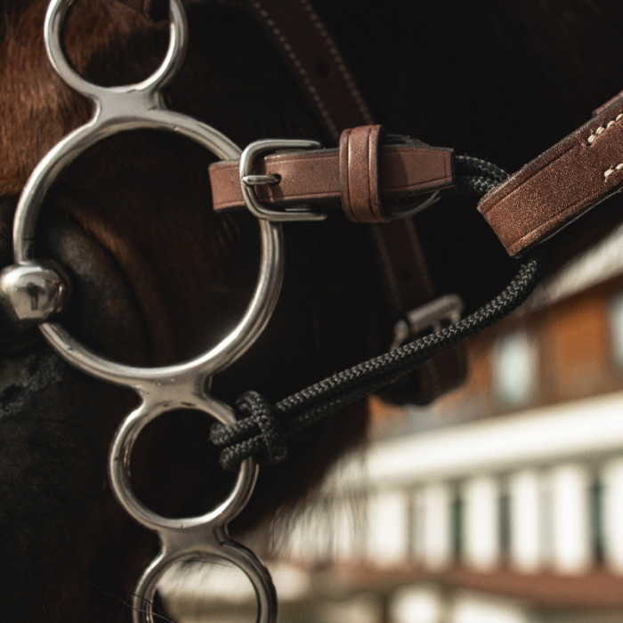 Pelham Converter Strap