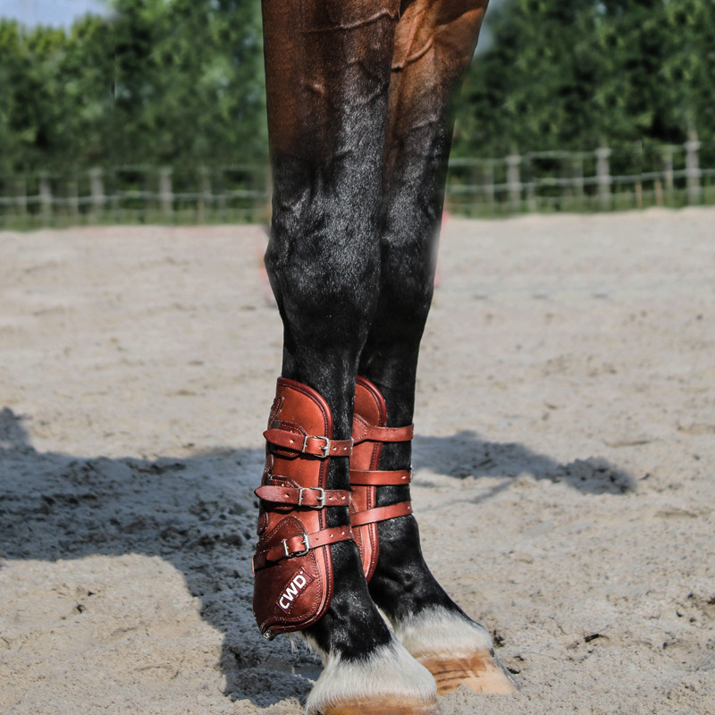 Buckle tendon boots
