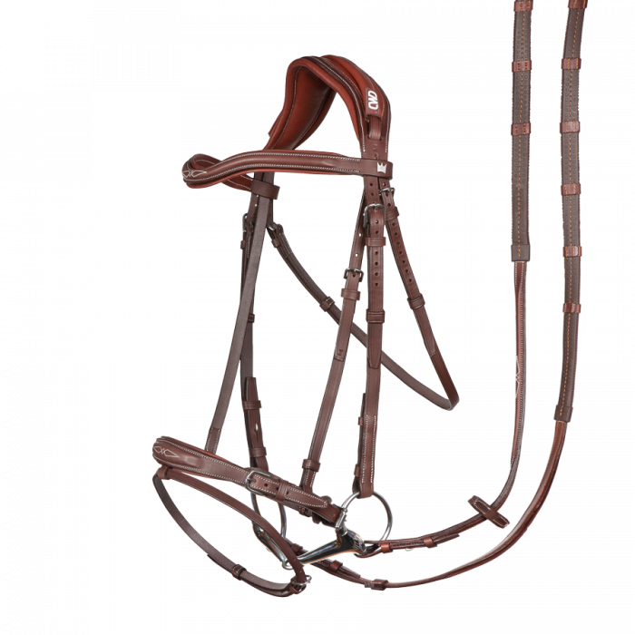 Kent Farrington bridle + reins. The ingenious.