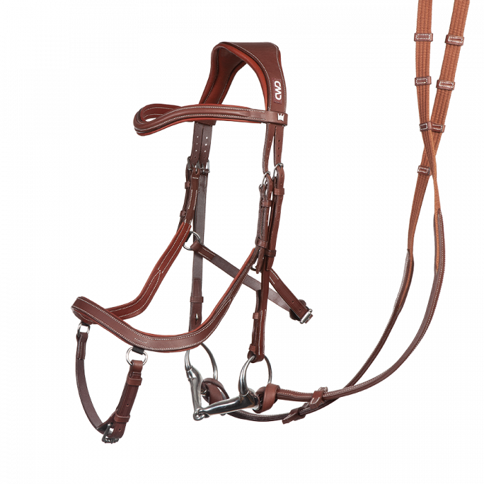Rolf-Goran Bengtsson bridle + reins.  The sensitive.