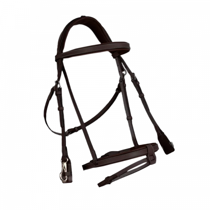 French noseband training bridle