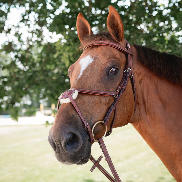 Raised figure 8 noseband bridle with fancy stitching