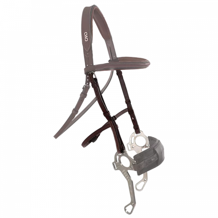 Hackamore cheek pieces
