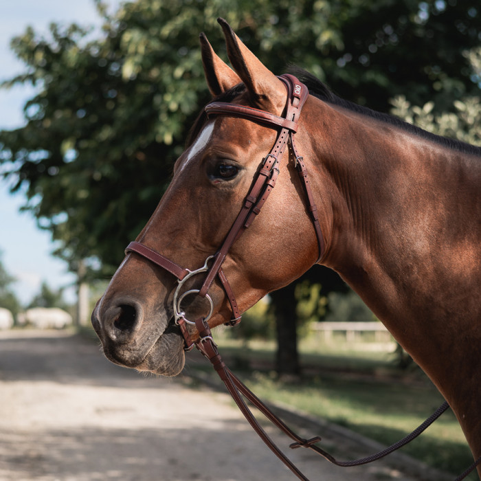 Muserolle Hackamore