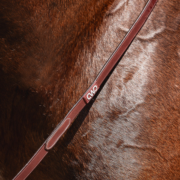 Leather draw reins