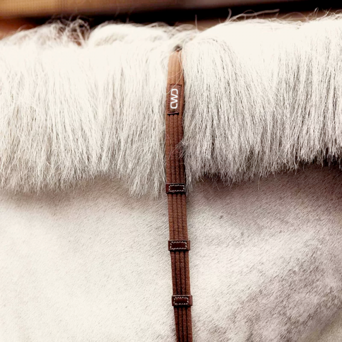 Raised web reins with fancy stitching