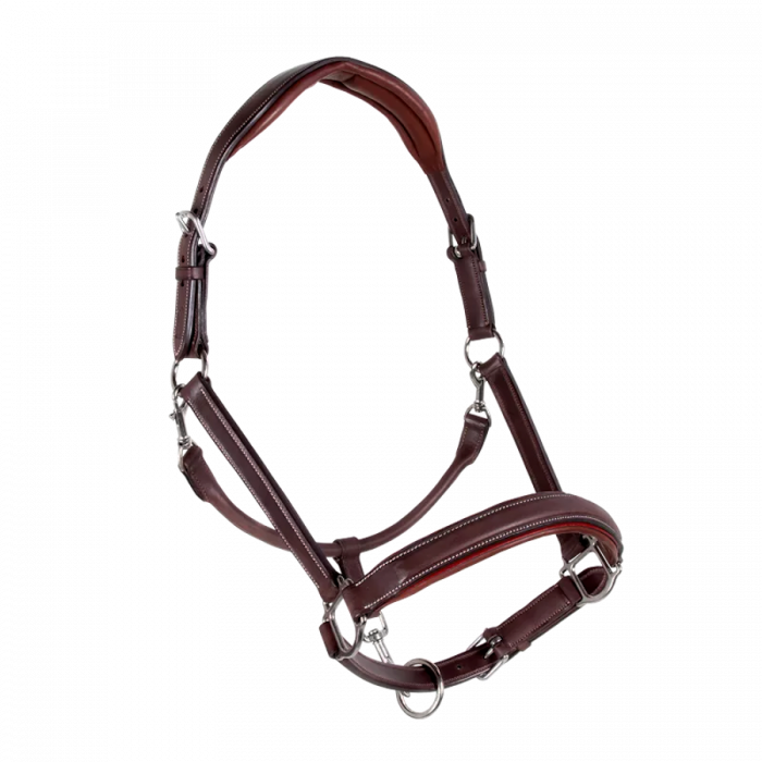 Sport Color stable halter