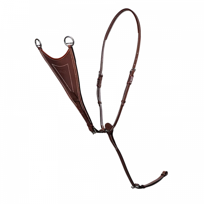 Martingale pleine