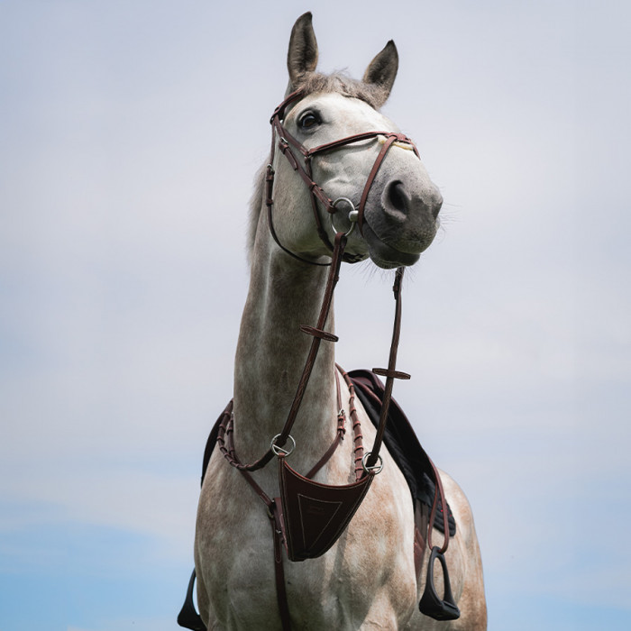 Martingale pleine