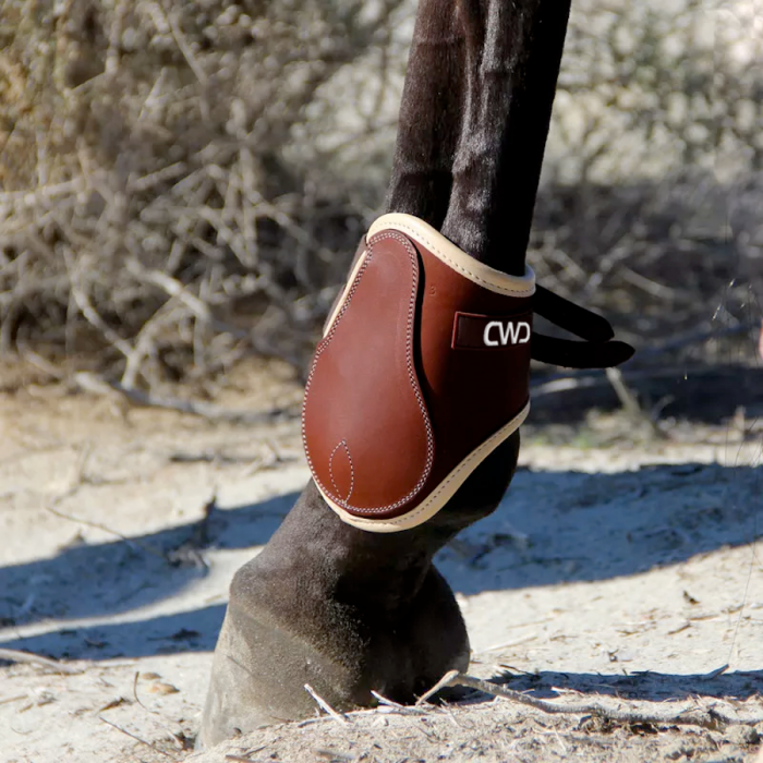 Sport Color buckle open fetlock boots
