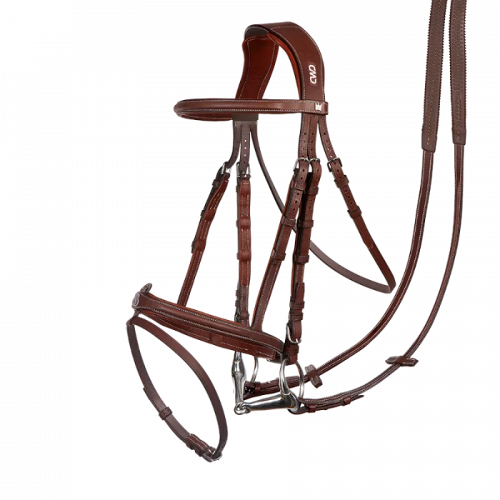 Scott Brash bridle + reins. The perfectionist.