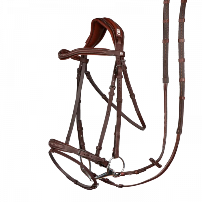 Kent Farrington bridle + reins. The ingenious.