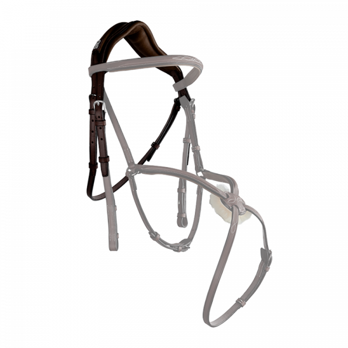 Anatomic headpiece (BR09)