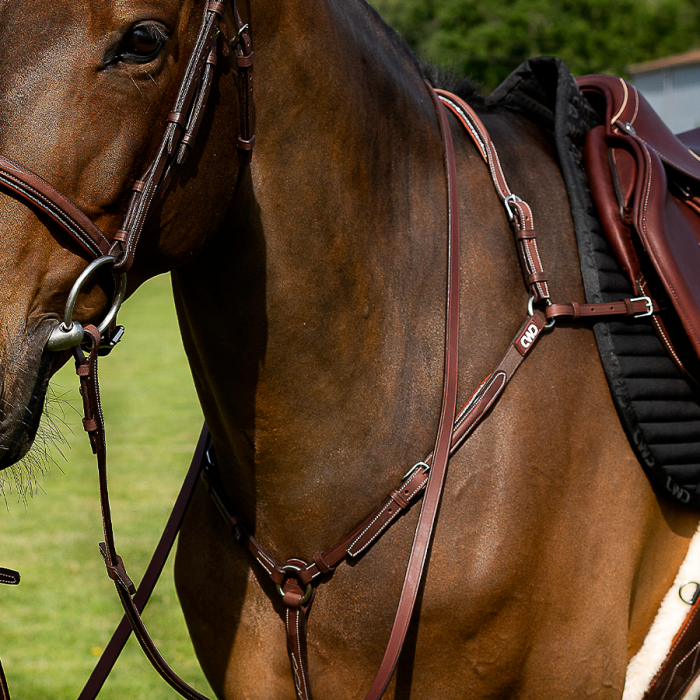 Classic reins