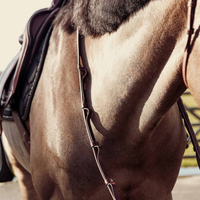 Loop leather reins