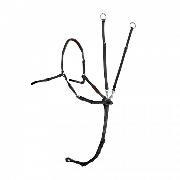 Sport Color raised adjustable bridge breastplate