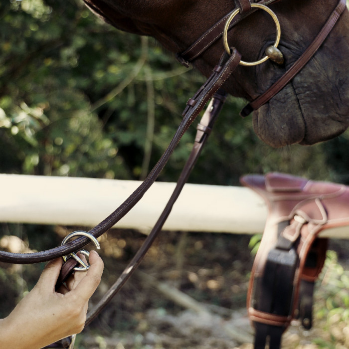 Adjustable bridge breastplate