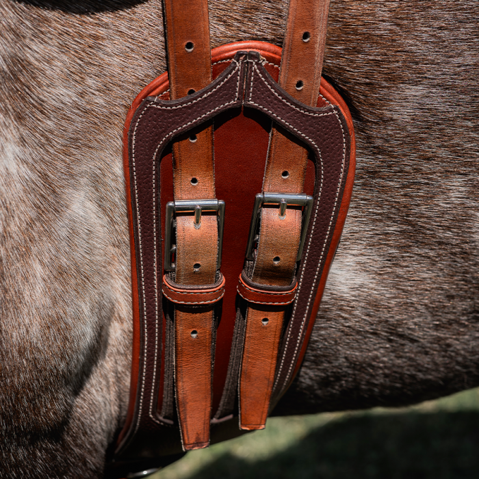 Contact short girth