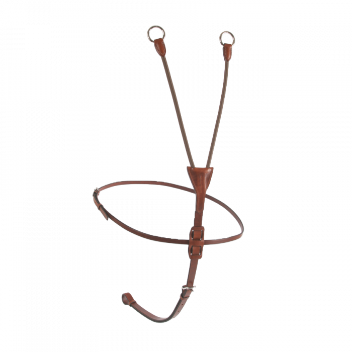 Elastic running martingale - Outlet