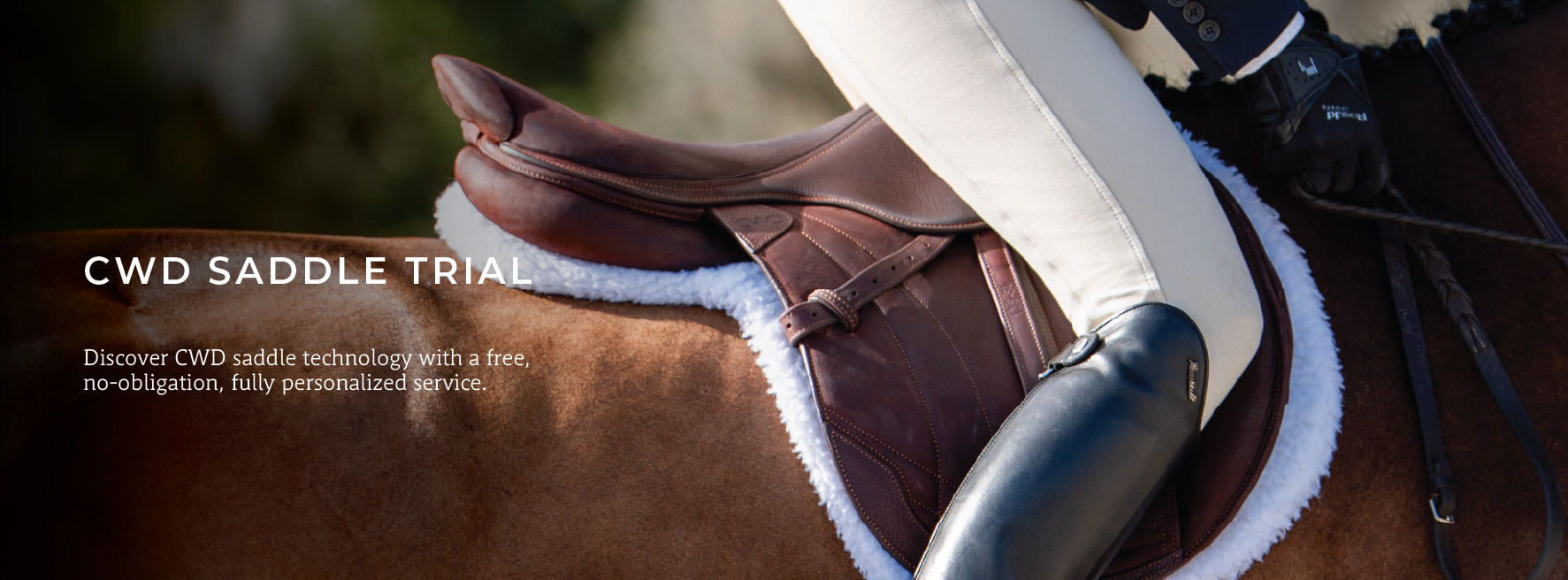 CWD SADDLE TRIAL