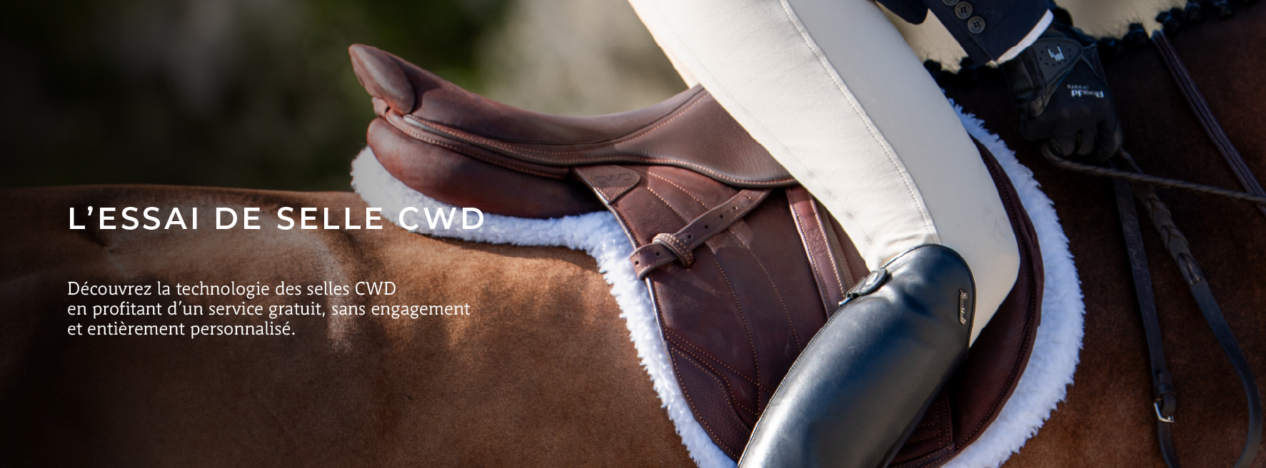 Essai de selle CWD