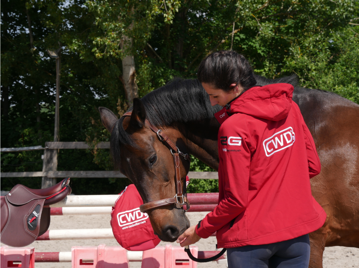 Stretching exercises for horses