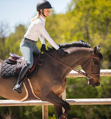 The reins: what effects on your horse?